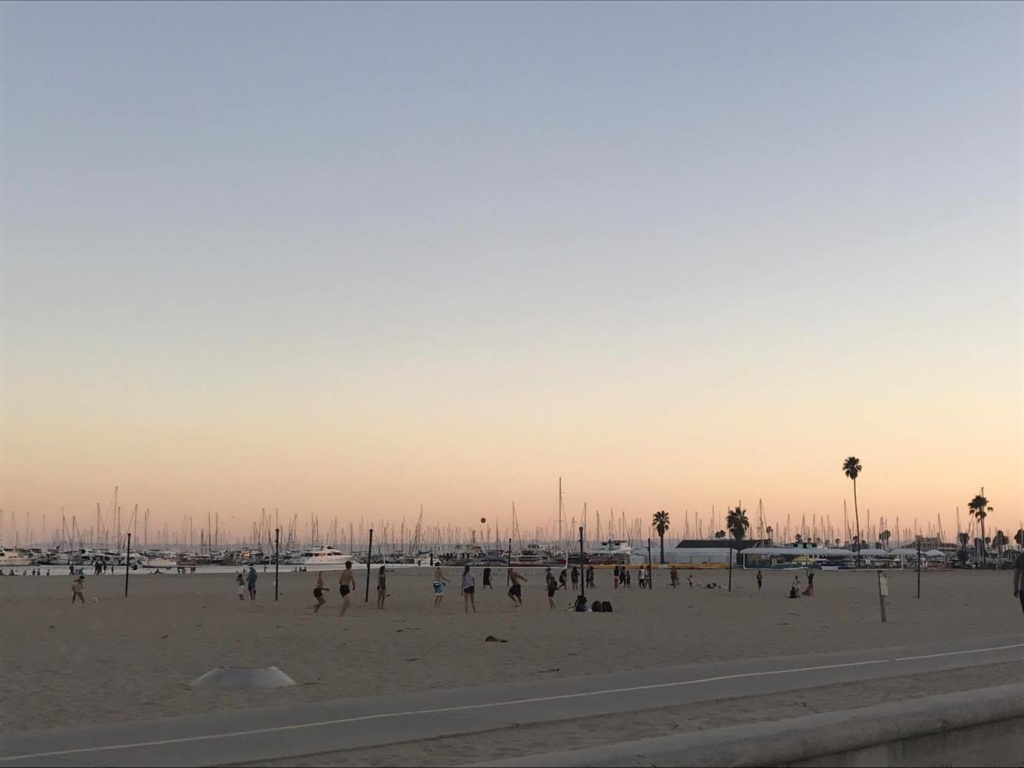 14456900_10210618770929722_1027499465_o