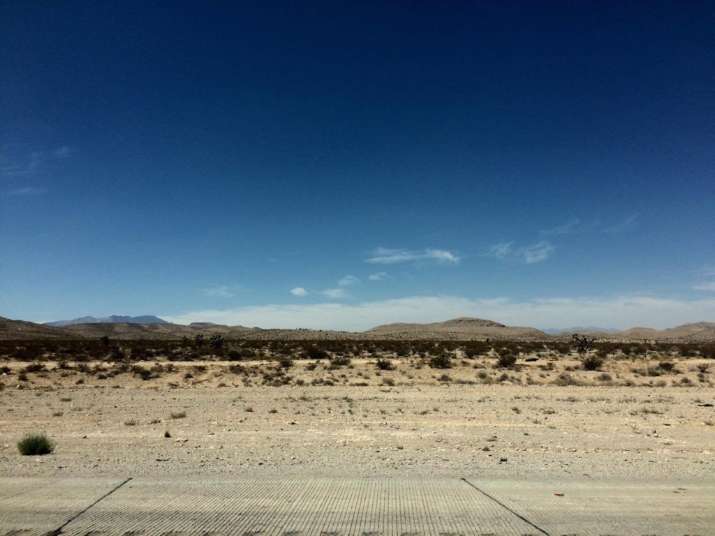 14247653_1274064865945219_972246018_o