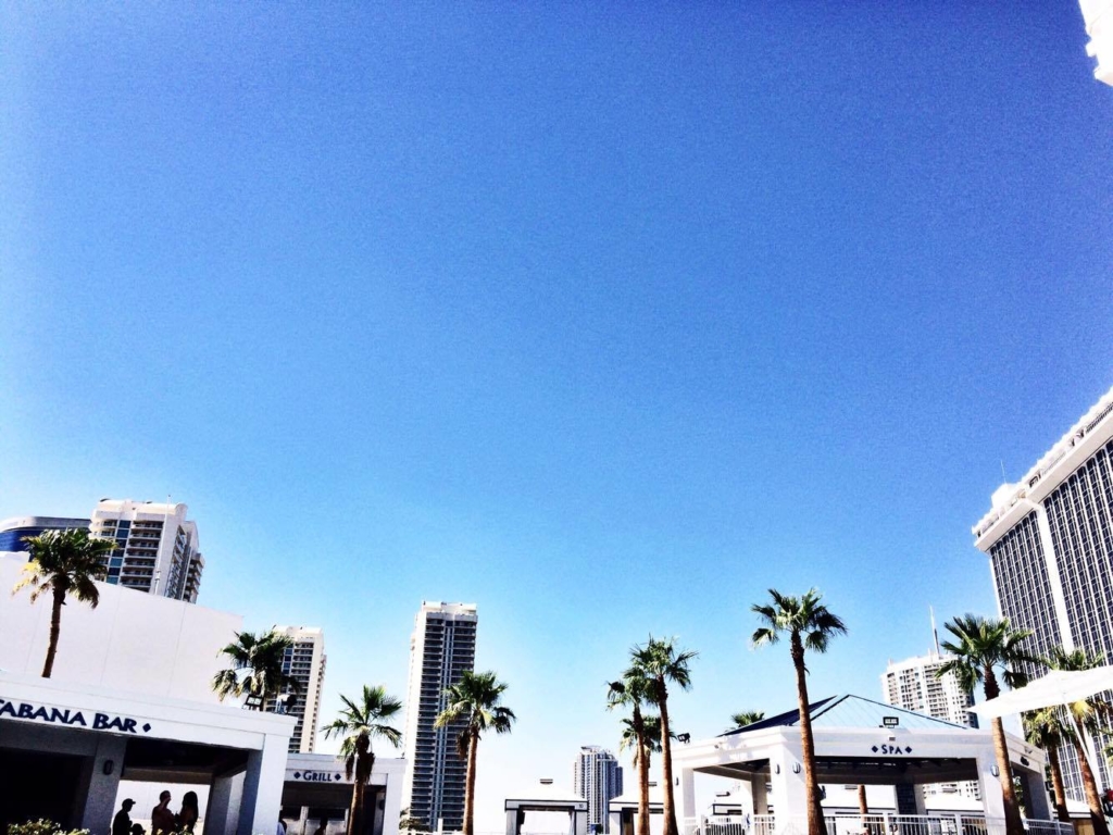 14285699_1274065062611866_921847437_o