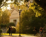 University of California Davis UC Davis