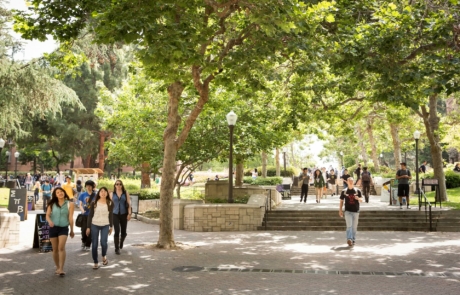 University of California Los Angeles (UCLA)