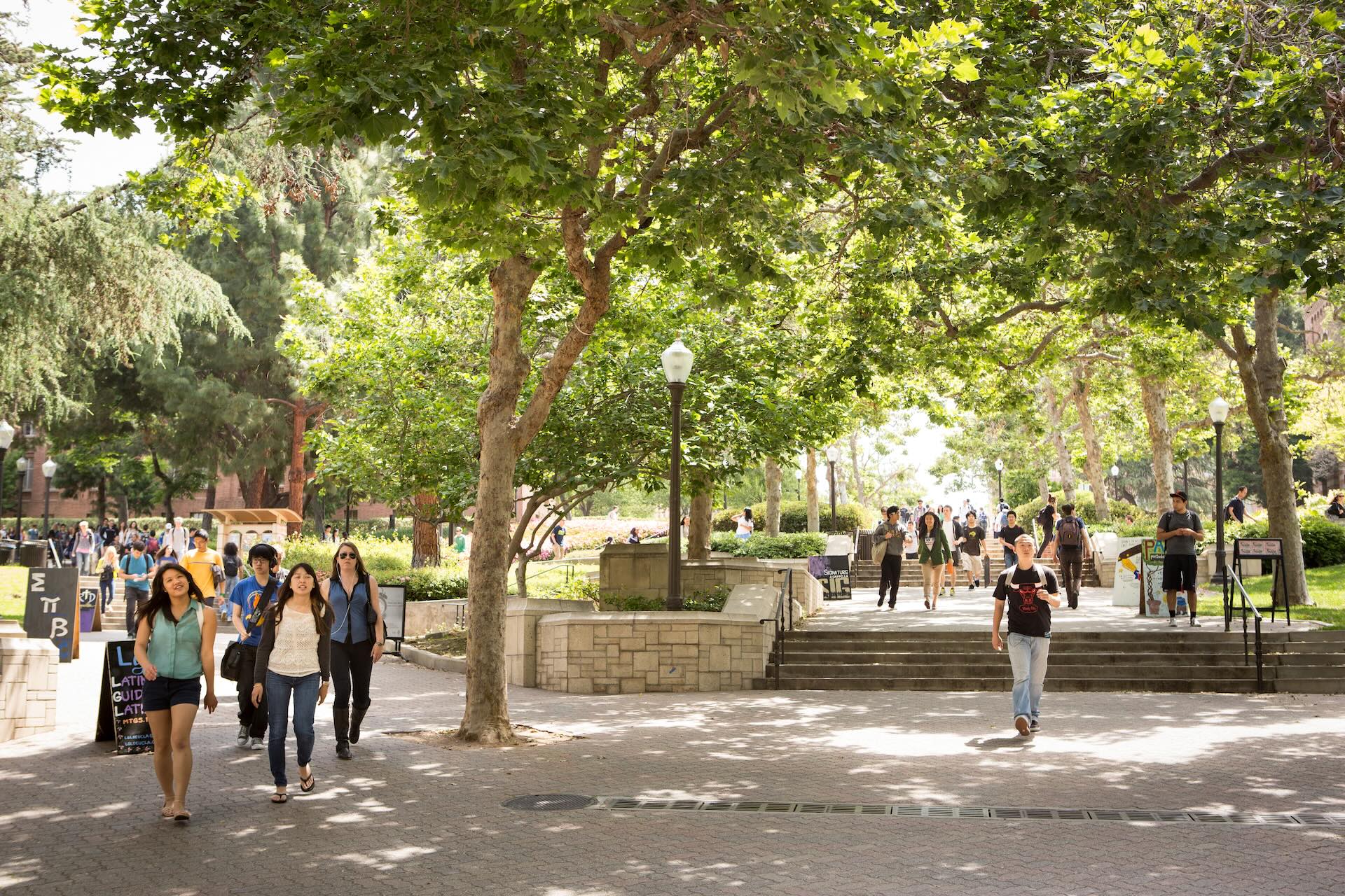 University of California Los Angeles (UCLA)