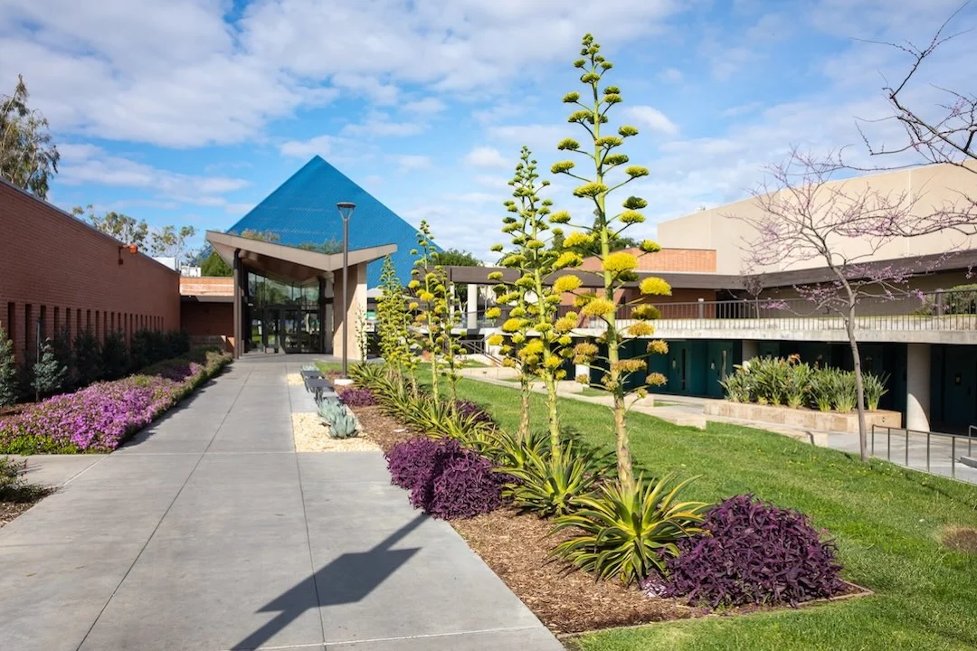 California State University Long Beach (CSULB)