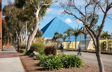 California State University Long Beach