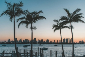 Studera i Florida