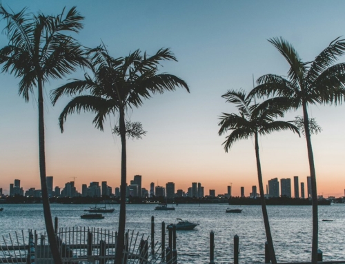 Studera i Florida – En plats i solen