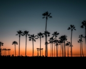Studera i Los Angeles