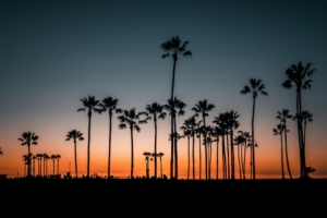 Studera i Los Angeles