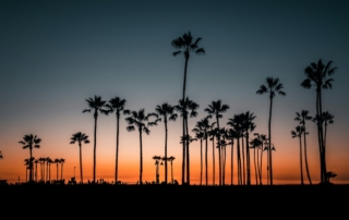 Studera i Los Angeles