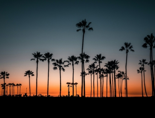 Studera i Los Angeles – En drömstad för internationella studenter