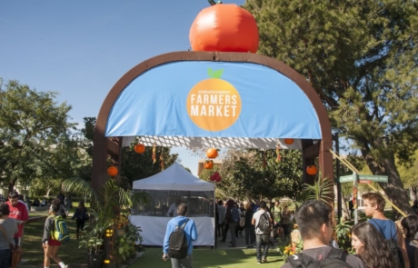 farmers market